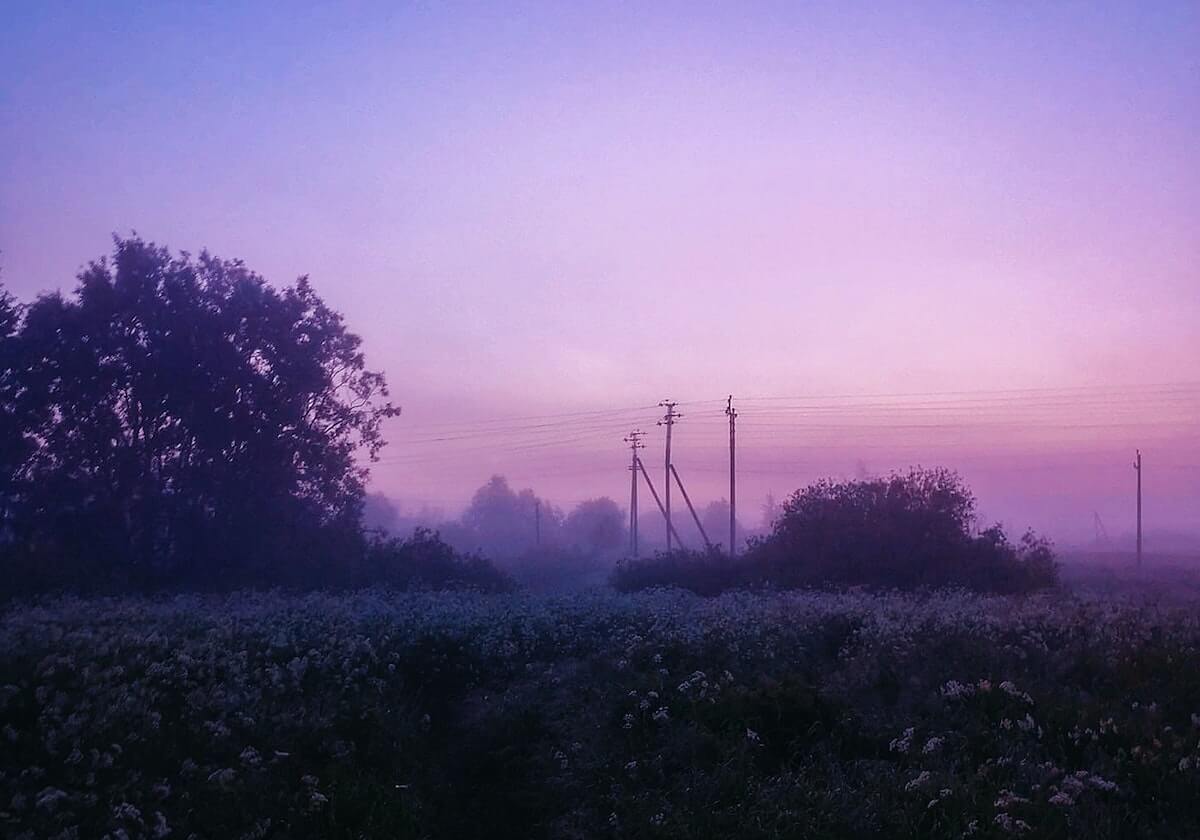 开云线上入口：一扇连接未来的数字大门